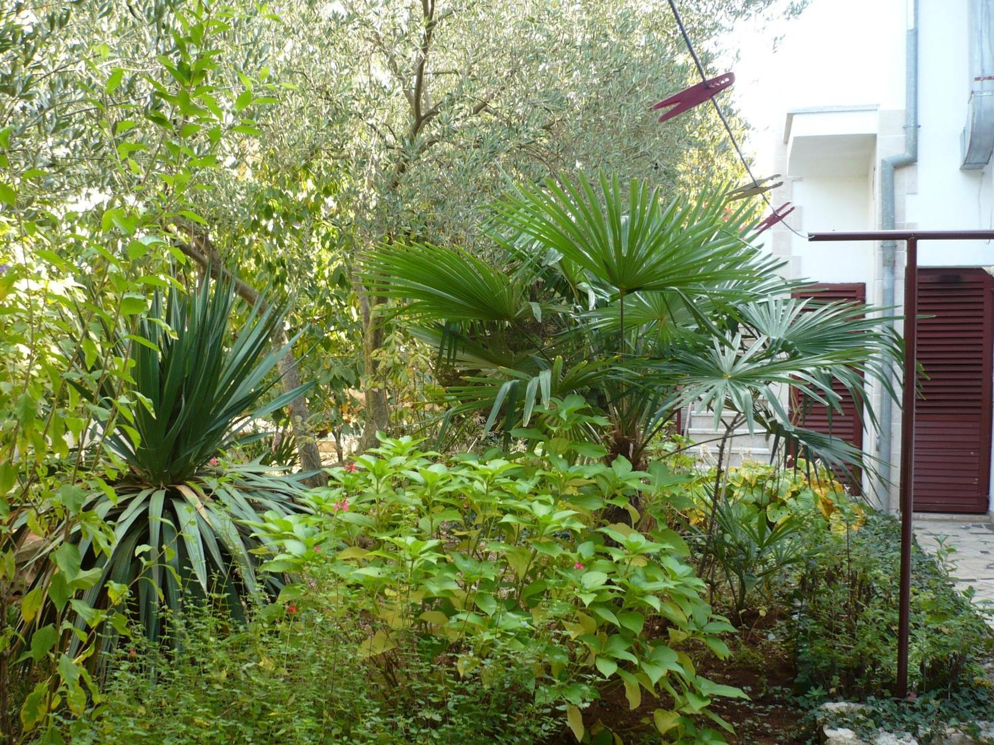 Apartments Finida Poreč Exteriör bild